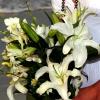 Casablanca Lily and Orchid Bouquet
