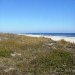 Have your Beach Wedding at Little Talbot Island